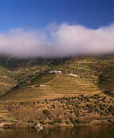 Morning fog on the hills above Ferreiras Quinta do  Porto and the Douro river near Pinhao Portugal      Port