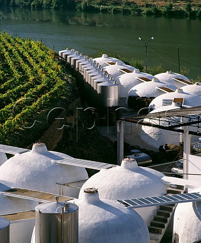 Vineyard and tanks baloes of Quinta do Bomfim by   the Douro River Pinho Portugal Port