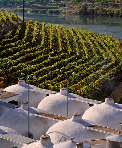 Vineyard and tanks of Quinta do Bomfim by the Douro River at Pinho Portugal  Port