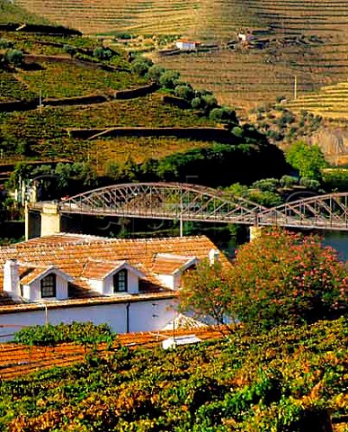 Symingtons Quinta do Bomfim by the Douro River at   Pinho Portugal    Port