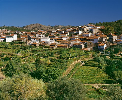 Village of Sao Mamede de Ribatua above terraced   vineyards in the valley of the Rio Tua near its confluence with the River Douro east of Pinho   Portugal
