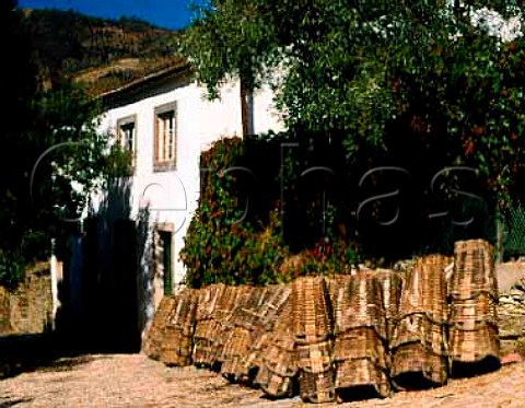 Traditional grape baskets await the harvest at   Grahams Quinta dos Malvedos In the Douro Valley   near the village of Tua it is part of the Symington   group Portugal    Port
