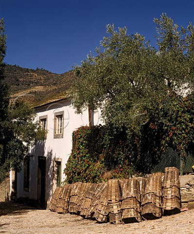 Traditional grape baskets at Grahams Quinta dos   Malvedos High in the Douro valley near the village   of Tua  Port