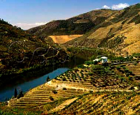 Grahams Quinta dos Malvedos in the   Douro Valley at Tua Portugal   Owned by the Symington group  Port