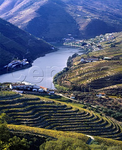 View down the Douro Valley to Pinho  Quinta de Ventozelo is in the foreground Real Companhia Vinicolas Quinta das Carvalhas is beyond on left with Crofts Quinta de Roeda across the river from it  Portugal  Port