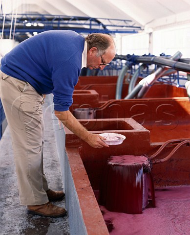 Peter Symington examining the colour of the   fermenting must from an autovinificator   Quinta do Bomfim Pinho Portugal  Port