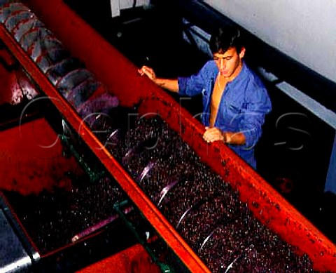 Spent grape skins being removed from an   autovinificator at Quinta do Bomfim   Pinhao Portugal    Port  Douro