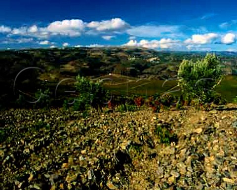 Vineyards high in the Douro Valley east of So Joo da Pesqueira Portugal 