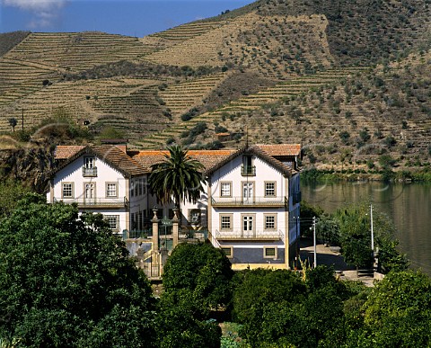 Quinta do Vesuvio by the Douro River A remote farm   well to the east of Pinho it is owned by the   Symington group  Portugal     Port