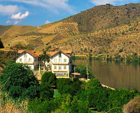 Quinta do Vesuvio a remote farm high in the Douro   Valley to the east of Pinho Portugal Port    Douro