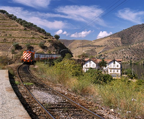 The Douro train passes Quinta do Vesuvio as it arrives at Vesuvio station High in the Douro Valley to the east of Pinho Portugal     Port