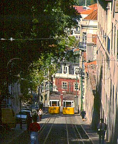 Two of the trams which run up and down the steep   streets of Lisbon  Portugal