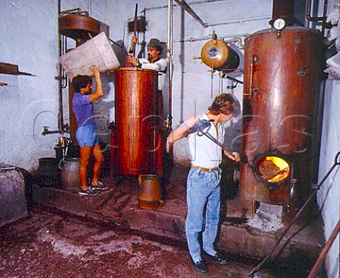 Distilling spirit from grape skins to make a grappa   style drink Quinta de Vargellas Portugal