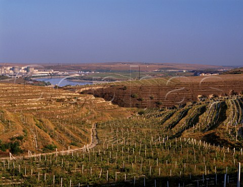 Vineyards by the Danube to Black Sea canal at Cernavoda with the nuclear power station in distance East of Constanta Romania Murfatlar Region