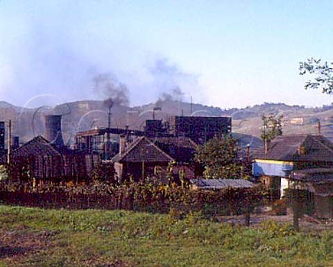 Copsa Mica near Medias Transylvania Romania Everything is black from the soot of the factory  trees houses even the pigs