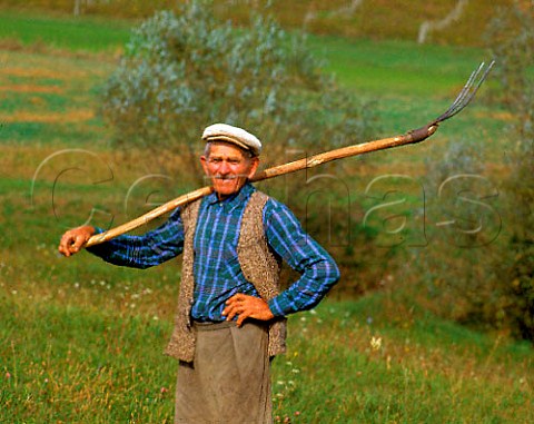 Man with pitchfork near Tirnaveni in the Tirnave   area of Transylvania Romania