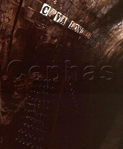 Cava Londres in the cellars of Codorniu   Sant Sadurni dAnoia Catalonia Spain