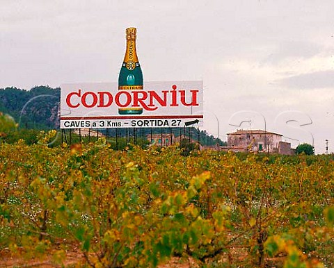 Codorniu advertising sign in vineyard near   Sant Sadurni dAnoia catalonia Spain Peneds