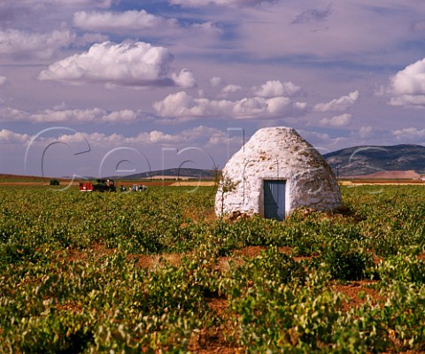 Traditional stone building in vineyard near Valdepeas CastillaLa Mancha Spain   DO Valdepeas