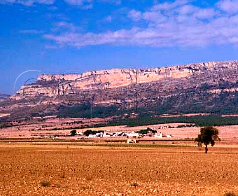 Village of San Benito and vineyard   Albacete province Spain  Almansa DO