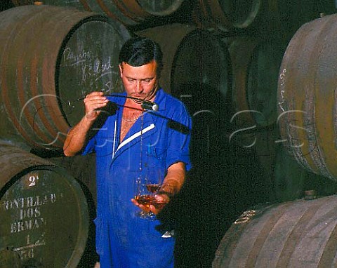 Venenciador filling glasses with 100year old   Manzanilla Pasada taken from barrel in bodega of   Antonio Barbadillo Sanlcar de Barrameda Andaluca   Spain Sherry