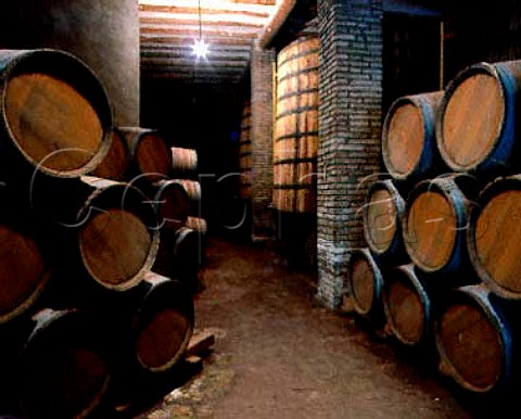 Barrel cellars of Cellers de Scala Dei Catalonia   Priorato