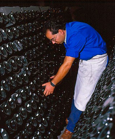 Performing remuage on bottles of Cava in cellars of   Codorniu Sant Sadurni dAnoia Catalonia Spain   Peneds