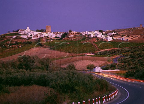 Vineyards below village of Monturque Near Montilla Andaluca Spain  MontillaMoriles