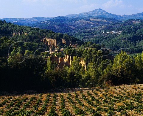 Vineyard and hermitage with Sierra de Montserrat   beyond Pierola Catalonia Penedes
