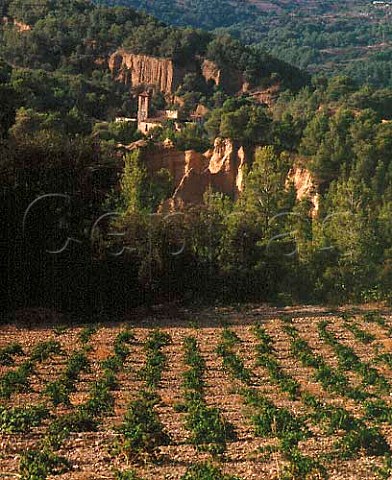 Vineyard and hermitage near Pierola Catalonia   Spain   Peneds