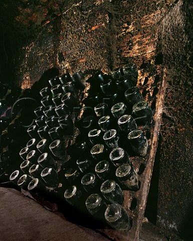 Magnums of Cava in racks at Juve y Camps San Sadurni de Noya Catalonia Spain     