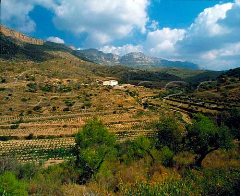 Masia Duch below the Sierra de Montsant  near Scala Dei Catalonia Spain   DO Priorato