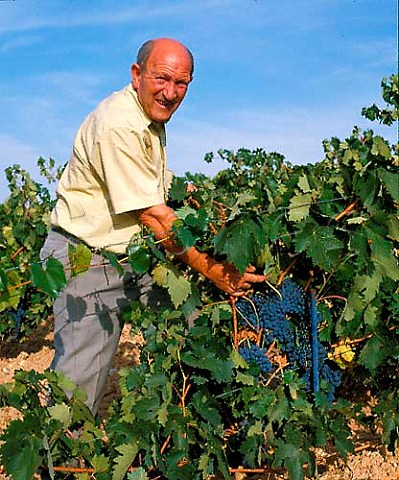 Alejandro Fernandez with Tempranillo grapes in    vineyard at Pesquera de Duero Castilla y Len   Spain    Ribera del Duero