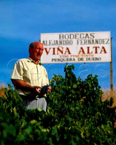 Alejandro Fernandez with Tinto Fino grapes in his  Via Alta vineyard at Pesquera de Duero  Castilla y Leon Spain Ribera del Duero