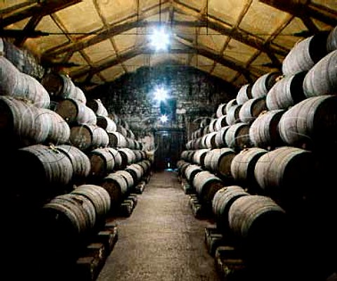 Barrel maturation at Bodegas Muga Haro Spain   Rioja