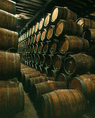 Barrel cellar of Bodegas Muga Haro La Rioja   Spain