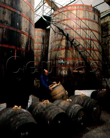 Barrels and casks at Bodegas Muga   Haro La Rioja Spain   Rioja