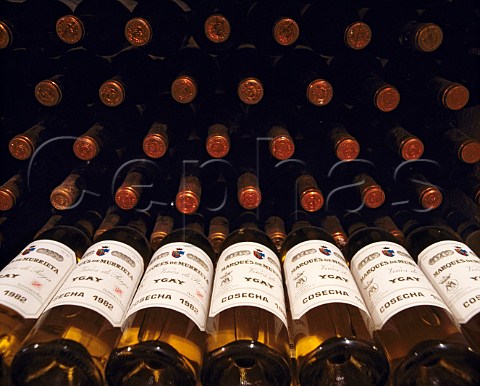 Bottles of 1982 Ygay white Rioja in the wine library   of Marques de Murrieta Ygay Logroo La Rioja   Spain   Rioja Alta