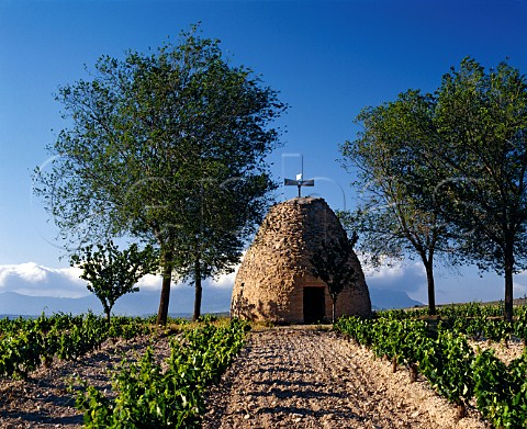 Traditional stone hut guardavinas in   vineyard near Oyon They were originally built to protect the workers in inclement weather Oyon Alava Spain  Rioja Alavesa