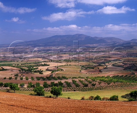 Vineyards and fruit and almond orchards in the valleys near the town of Miedes with the Sierra de Vicort in the distance  Aragn Spain    DO Calatayud