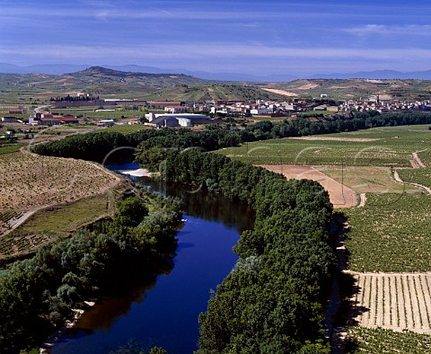 Vineyards of Herederos del Marqus de Riscal right   by the Rio Ebro with the town of Cenicero beyond The   river here is the boundary between Rioja Alavesa and   Rioja Alta left   Spain