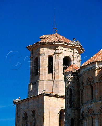 Storks nesting on the 12thcentury Colegiata de   Santa Maria la Mayor in the old wine town of Toro   Zamora Province Castilla y Len Spain