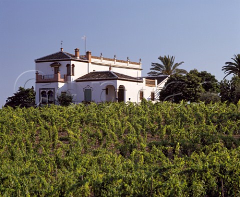 Wine estate at Bollullos par del Condado Huelva  Province Andaluca Spain  DO Condado de Huelva