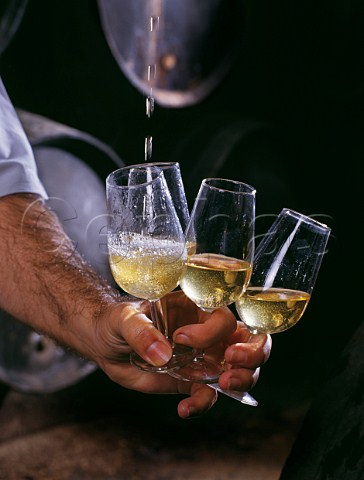 Filling glasses with fino sherry from cask using a venencia in the bodega of Emilio Lustau Jerez de la Frontera Andaluca Spain   Sherry