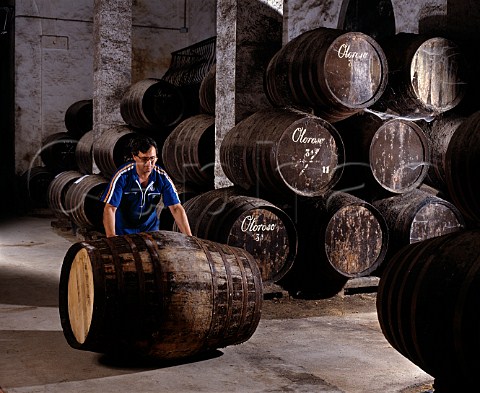 Rolling sherry barrel through La Palma bodega of   Osborne Puerto de Santa Maria Spain  Sherry