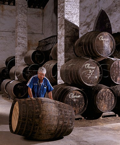 Rolling sherry barrel through La Palma bodega of   Osborne Puerto de Santa Maria Andaluca Spain    Sherry
