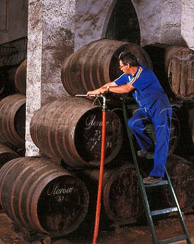 Pumping oloroso sherry from one criadera to another   in the solera of Osbornes La Palma bodega   Puerto de Santa Maria Andaluca Spain  Sherry