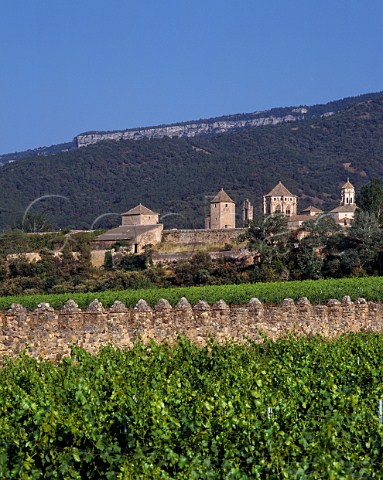 Monastery of Poblet founded in 1151 The   vineyards part of 115ha known as Las Murallas are owned by Miguel Torres  Vimbodi Catalonia Spain Conca de Barber