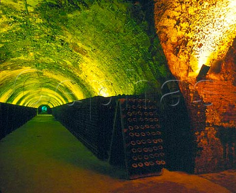 Bottles of Cava in pupitres in cellars of Raimat     Lerida Catalonia Spain  Costers del Segre