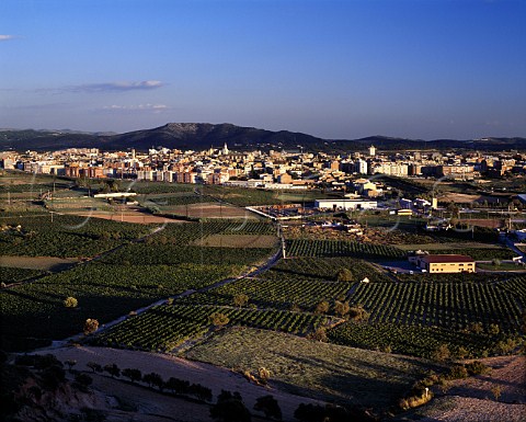 Vilafranca del Peneds surrounded by vineyards     Catalonia Spain